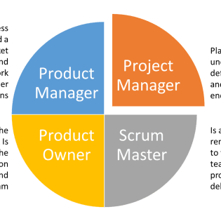 Project Management vs Project Manager
